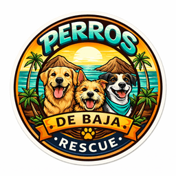 Portrait of Volunteer test